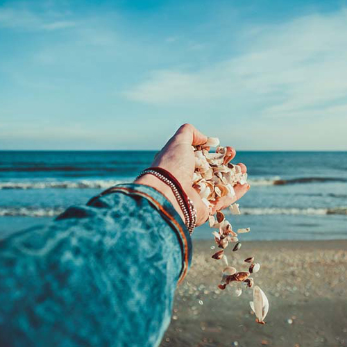 hand dropping shells