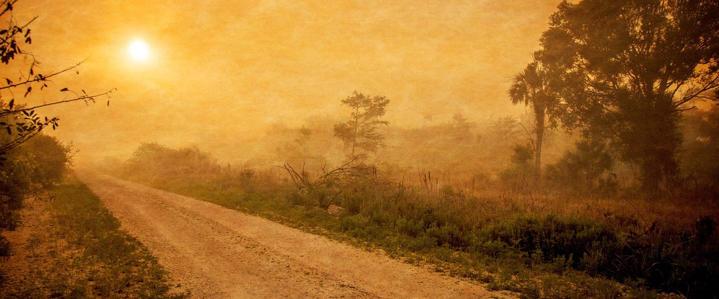 down the canvas road